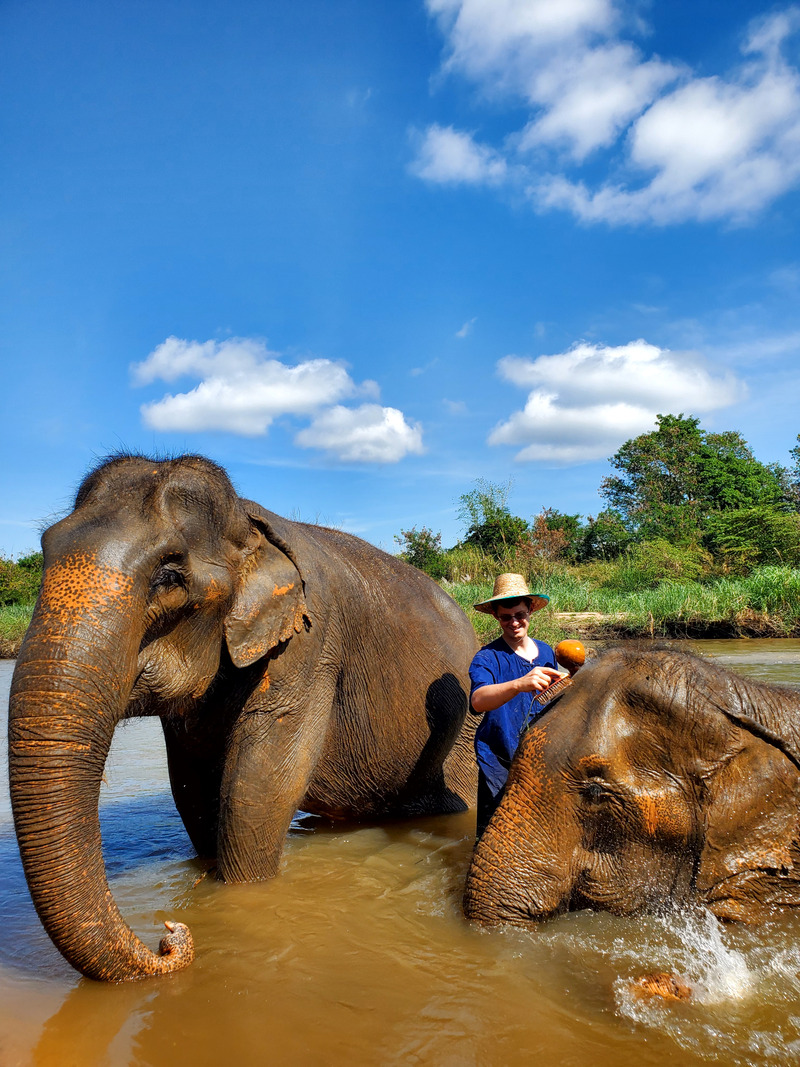 Elephant Washing