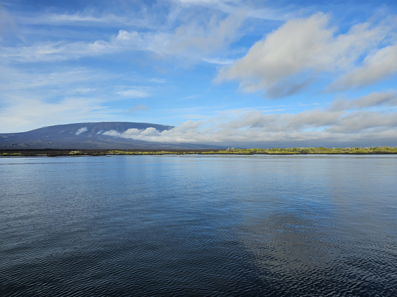 Fernandina Island shoreline