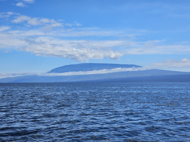 A view of Isabela Island from just off Fernandina Island
