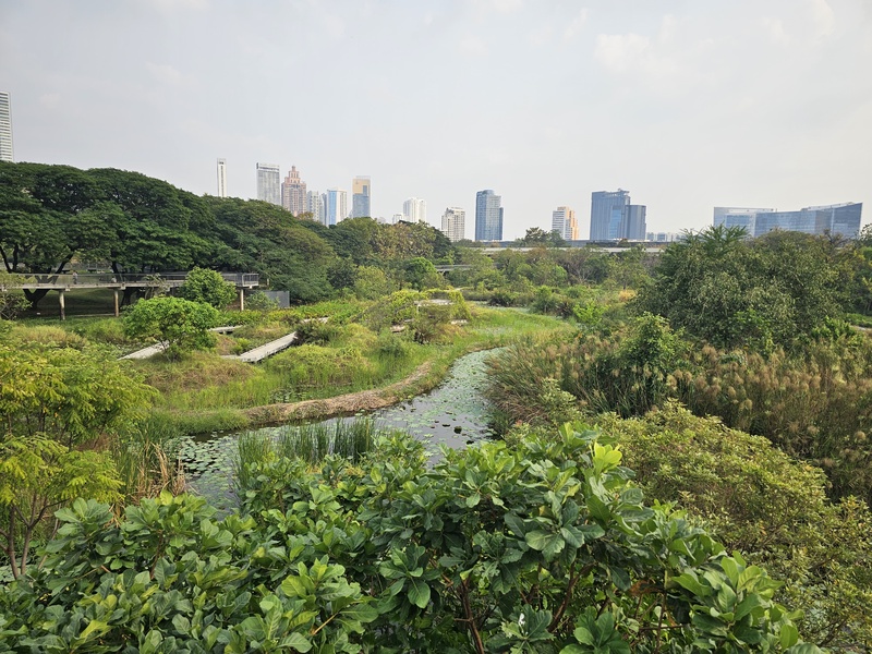 Bangkok skyline from Benjakitti Park