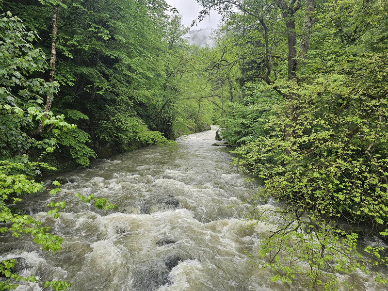 Fast-flowing river through Borjomi Central Park.